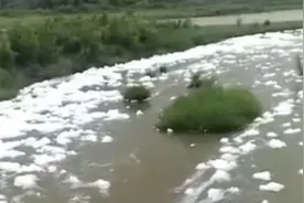 宝鸡石头河下游漂浮大量白色泡沫：洗衣原液落洒，正全力清理图片