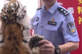 虎骨补身？这位“推销员”栽了，至少判10年！