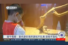 防控不放松！南京端午出游：室内游乐场所游玩不扎堆视频封面