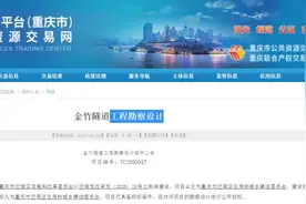 总投资7.26亿元，巴南将新增一座“金竹隧道”图片