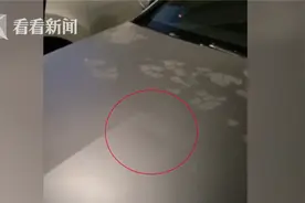 引擎盖当“蹦床”？车主怒了……又是“熊孩子”图片