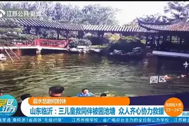 惊险一幕！山东临沂三儿童救同伴被困池塘，众人齐心协力展开救援视频封面