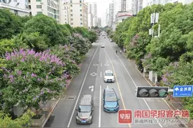 炎炎夏日花争艳，南宁这几条“花街”美爆了图片