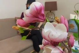 头像、学历、收入均可修改，婚恋平台实名认证账户成了骗子们杀猪的“刀”图片