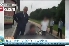 老人遛狗时解开狗绳引发交通事故：担责图片