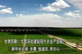 甘肃民勤：戈壁深处建起现代农业产业园视频封面