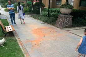 砖头从天而降！两小孩在小区楼顶玩“抛物”游戏 业主和家长围绕这件事吵翻了图片