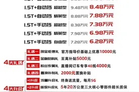 应用德国VDA质量管理体系 嘉悦X4上市售6.28-8.98万元图片