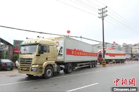 “荔枝之乡”广东镇隆荔枝销往世界各地图片