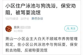 租客牵狗进景观泳池引热议，有新进展图片