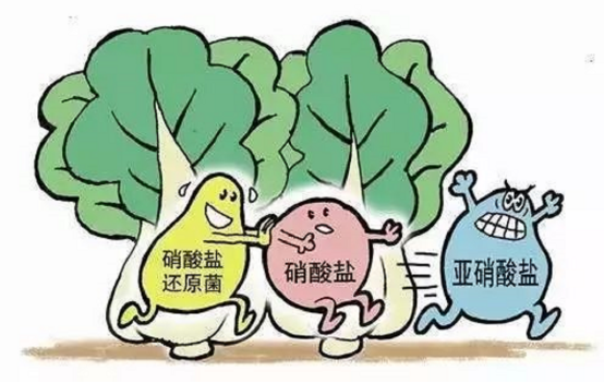 养虾调水有三难：培藻、底改和亚硝酸盐！养殖户如何破解？