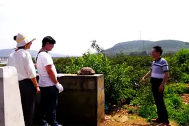 44秒｜枣庄滕州村民水库边捡到一只大龟，竟是国家二级保护动物图片