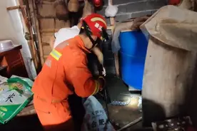 惊险！祁门农户家中出现“五步蛇”图片