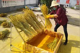 河南村民小麦收完不当粮食卖 经过3轮浸泡制成“干花”图片