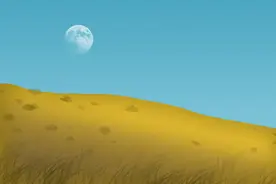 为什么有时候白天也能看到月亮？图片