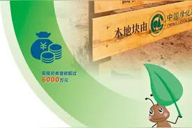 5.5亿双脚“种”出了这片“蚂蚁森林”图片