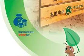 5.5亿双脚“种”出了这片“蚂蚁森林”图片
