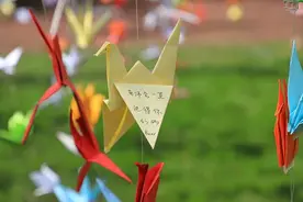 聚焦毕业季图片