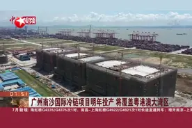 广州南沙国际冷链项目明年投产  将覆盖粤港澳大湾区视频封面