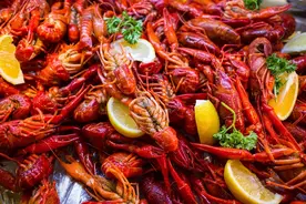 吃完小龙虾，喝完啤酒，22岁女大学生双腿剧痛！原来是这种病惹的祸......图片