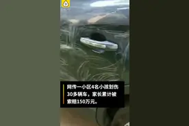 4名熊孩子划伤小区30台车遭索赔150万，家长的反应气炸车主图片