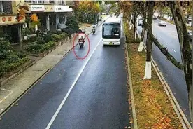 为找乐子，杭州男子上班途中溜进宠物店，抱起别人家的泰迪犬就跑，还准备这样告诉老婆图片