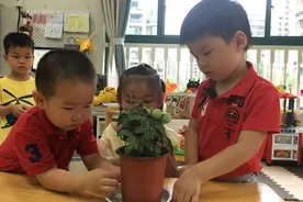 这所幼儿园的孩子们，不仅对种植成果很自信，还分享专属的“番茄成长记”图片