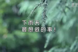 下雨天最想做的事！