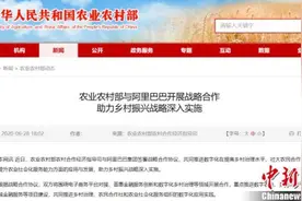 农业农村部与阿里巴巴战略合作 依托钉钉共建乡村数字化治理平台图片