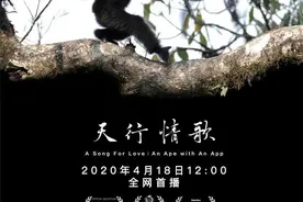 9.8分，缤纷自然斩获中国超高分自然纪录片殊荣图片