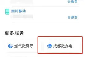 好消息！成都申请用电、交电费再增一条新途径图片