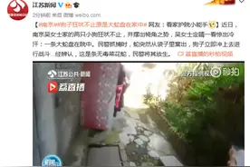 狗子狂吠不止原是大蛇盘在家中！网友：看家护院小能手图片