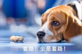 收到这样的短信，当心被骗图片