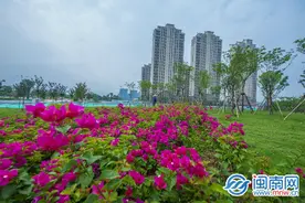 漳州高新区碧湖南板块 或成下一个宜居洼地图片