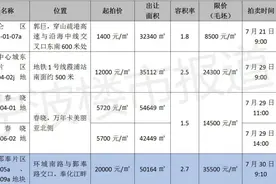 又连夜加班挂地！新出奉化江一线江景宅地，起拍价2万元/㎡，毛坯均价限35500元/㎡图片