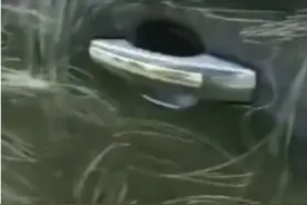 坑惨爹娘，东莞4个熊孩子划伤45辆豪车遭索赔，家属：愿担责图片