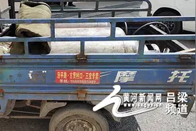 汾阳：无证驾驶三轮车 车上还拉着液化气罐！严处 没商量图片