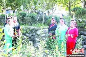 浙江畲歌传承人蓝玉聪：畲族山歌越唱天地越宽广图片