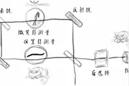 两只“量子柴郡猫”交换笑脸图片