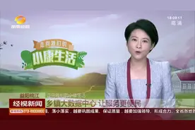 【点赞益阳】湖南经视《经视新闻》报道桃江乡镇大数据中心让服务更便民视频封面
