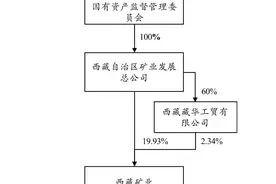西藏矿业实控人变为国务院国资委，中国宝武将再增一上市平台图片