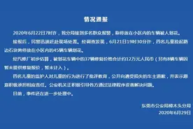 四名儿童划花45辆车 警方：其中37辆修复价合约12万图片