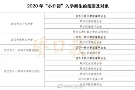 看看你家伢上哪所学校？硚口区2020年义务教育段对口划片“出炉”图片