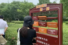 这个区的一些律师为啥人称“滴滴律师”？接单竟然要靠抢图片