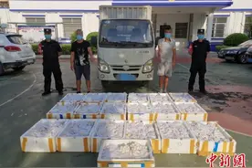 广西警方查获蛇蛋11595枚 两人涉嫌非法贩运被抓图片