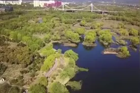 植树节正式写入法律视频封面