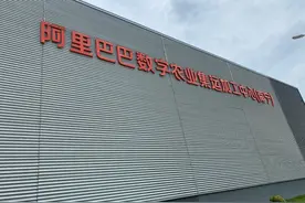 卖出好价格 吃上好东西 阿里巴巴给出数字农业“新定义”图片