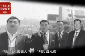 抗震英雄刘氏兄弟因何堕落为黑恶势力？官方披露内幕图片