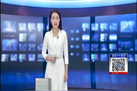 面孔｜七旬老人拍鸟十年：小鸟进城了 拍鸟不用去远方图片
