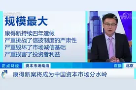 经典案例！康得新案将成为中国资本市场分水岭图片
